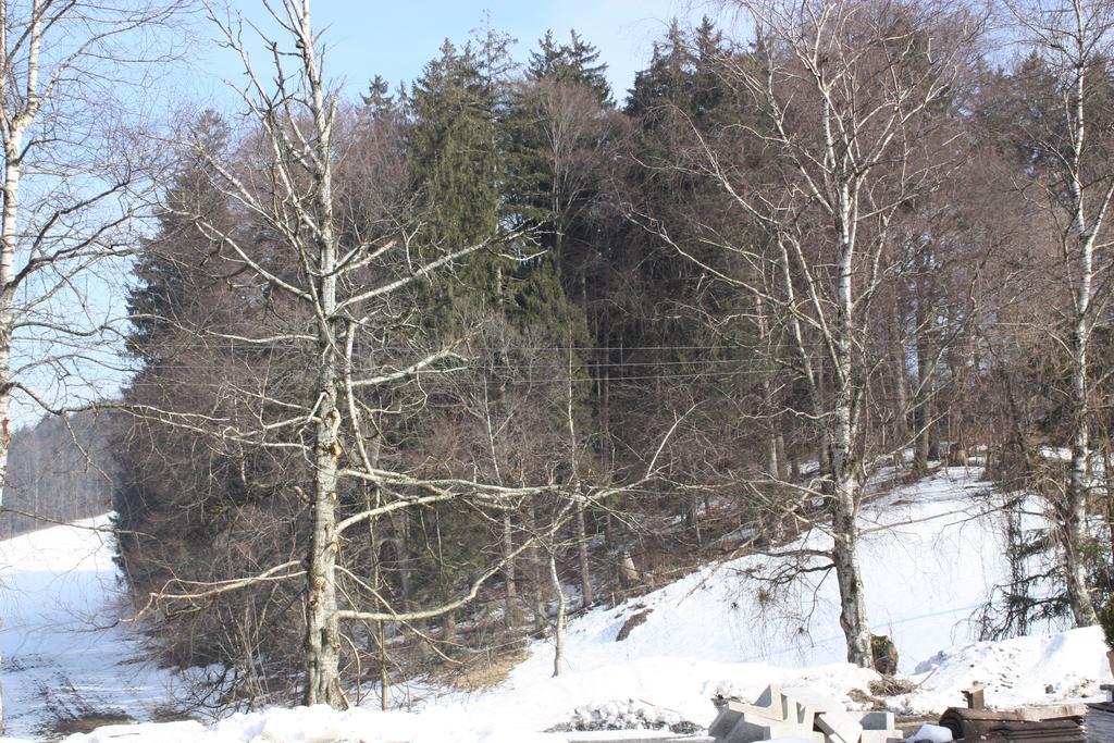 Ferienwohnungen Neukirchen Neukirchen am Teisenberg 외부 사진